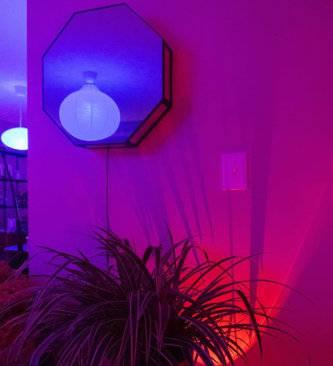 An Octagon Infinity Mirror and leafy plant glow with purple-pink LED wall decor, with a light switch nearby.