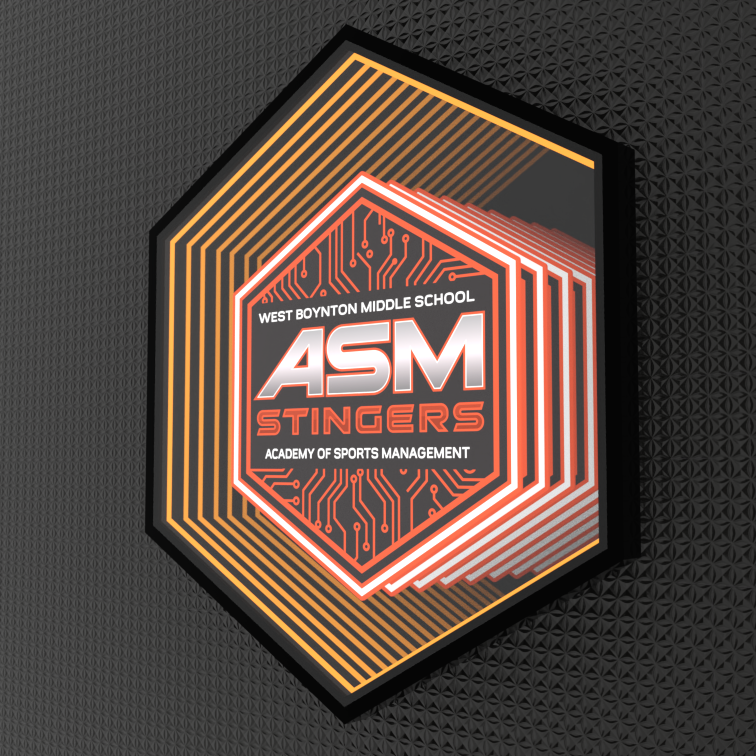 Custom Order: Hexagonal logo with orange lines, ASM Stingers, West Boynton Middle School Infinity Mirror design.