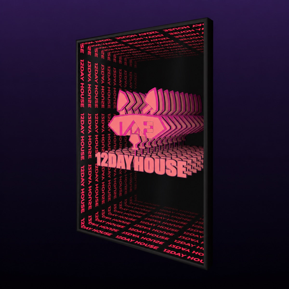 12DAY HOUSE infinity mirror customizer preview